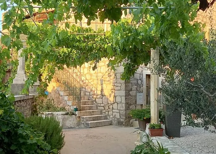 Ruza Vjetrova 波斯蒂勒