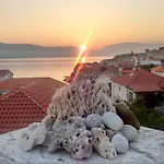 Ruza Vjetrova