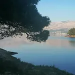 Ruza Vjetrova