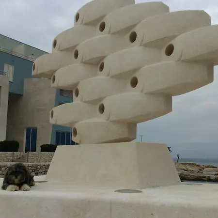 Ruza Vjetrova Postira