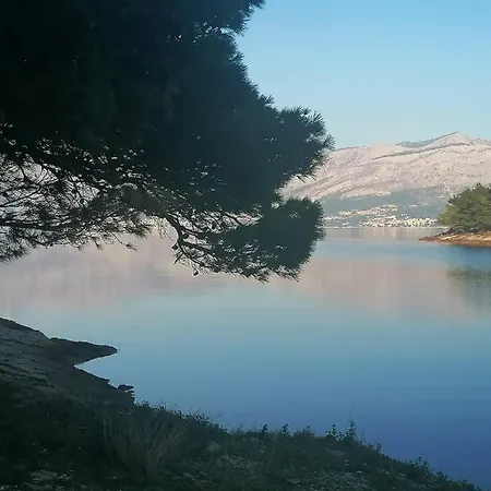 Ruza Vjetrova
