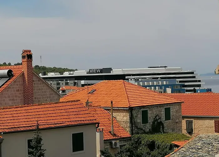 Ruza Vjetrova