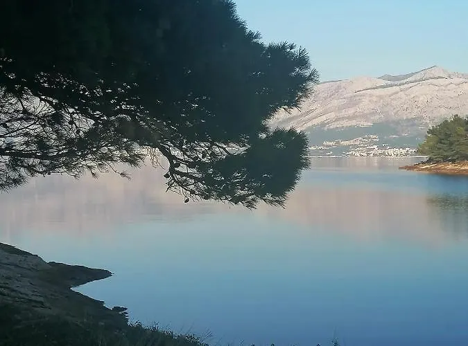 Ruza Vjetrova